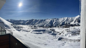 Panorama Twins